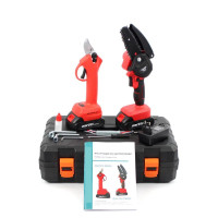 Акумуляторний набір Instrumentop 24V PROFI 2в1 (секатор DUP270 і пила DUC150) 