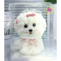 Ексклюзивний подарунок Мальтійська болонка з троянд KR-22